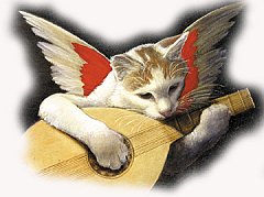 Copia di Catz 4